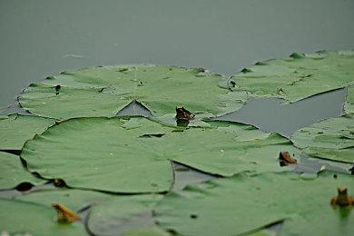 新《星际迷航》游戏或泄露 据称将于5月发售